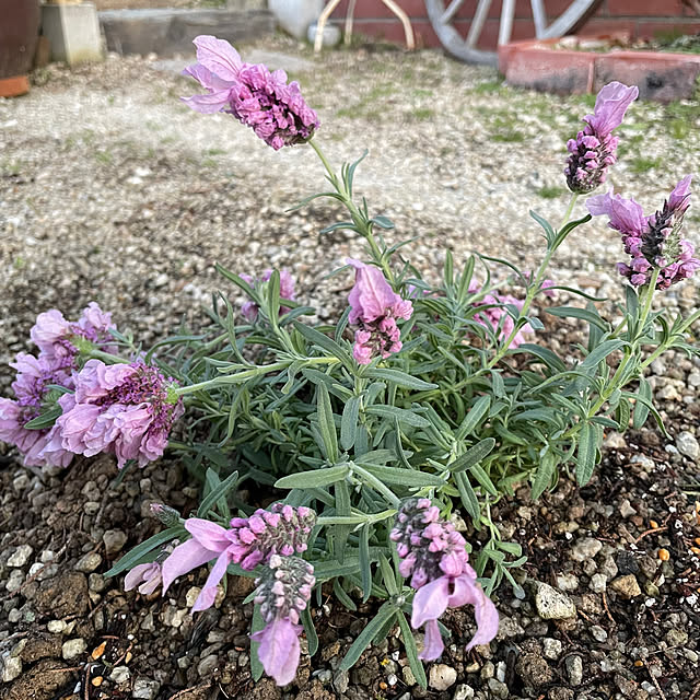 shin0719さんの部屋