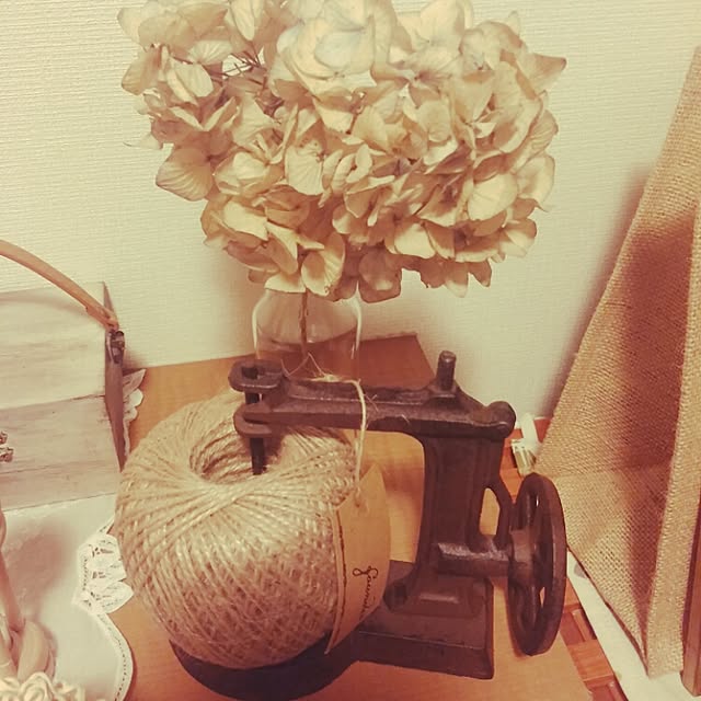 Mikaさんの実例写真