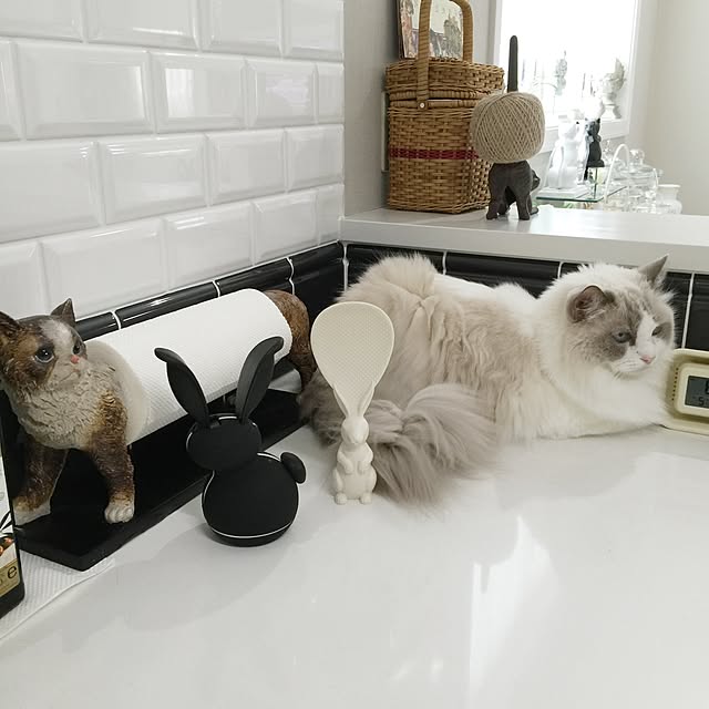 yuchiさんの実例写真