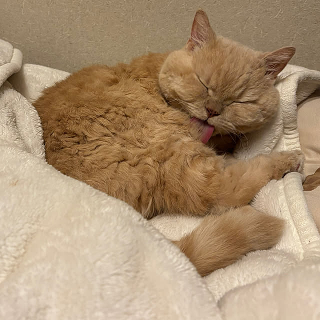 naokoさんの部屋