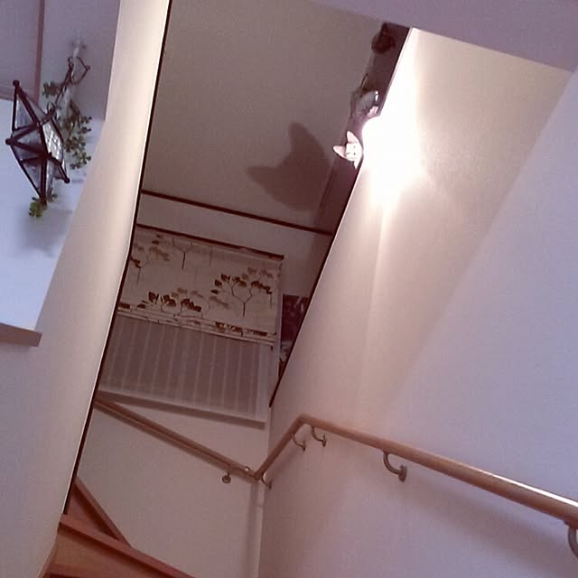 kamekoさんの実例写真