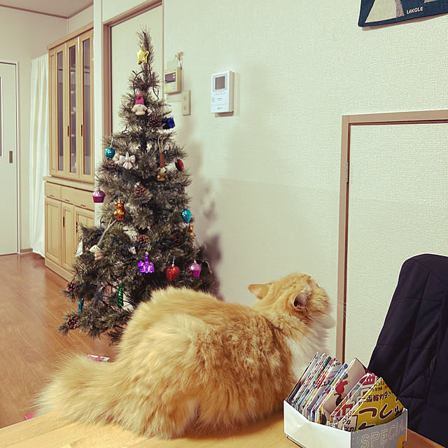 junさんの実例写真