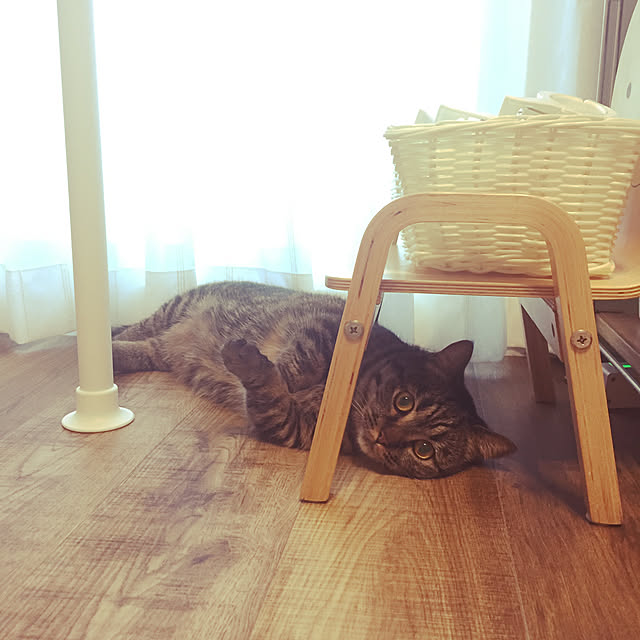 nocomomさんの実例写真