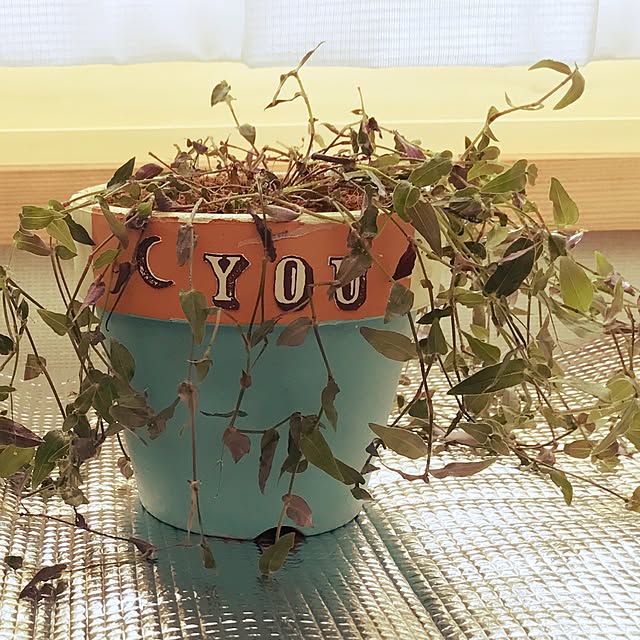 YKさんの実例写真
