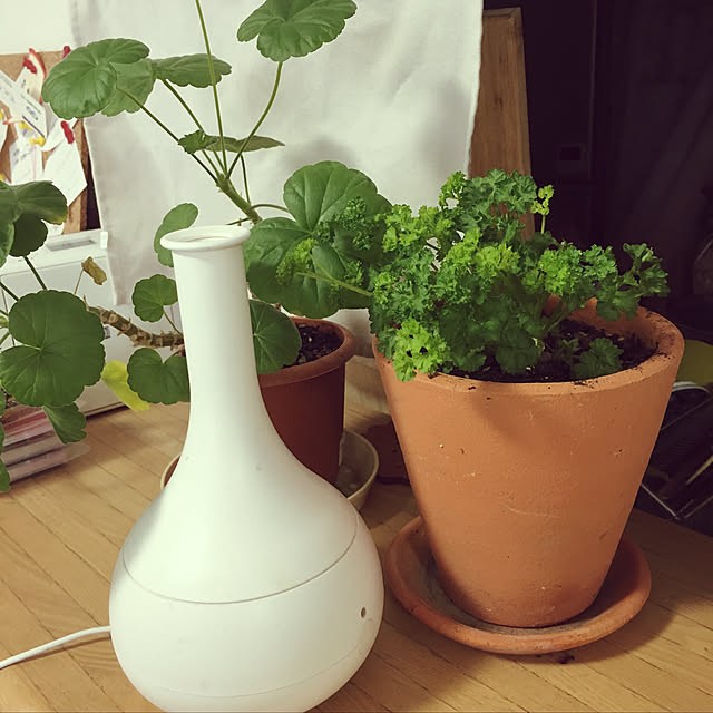 studiorknitさんの実例写真