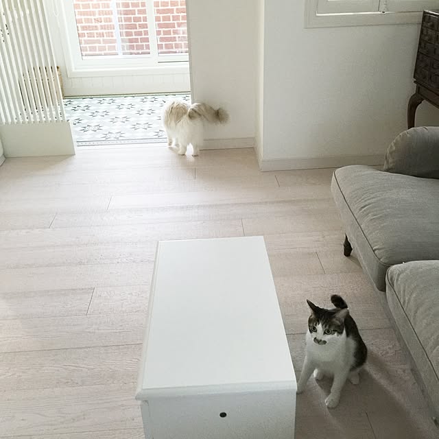 yuchiさんの実例写真