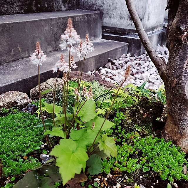 nyaonyaoさんの部屋