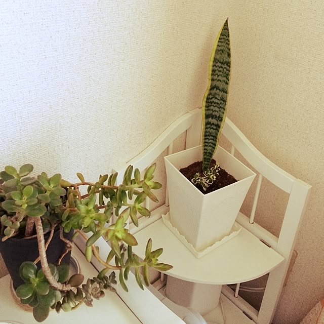 emtokさんの実例写真