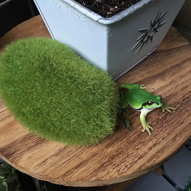 Ryoさんの実例写真