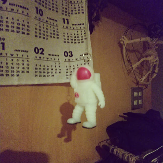 niko2pun2さんの実例写真