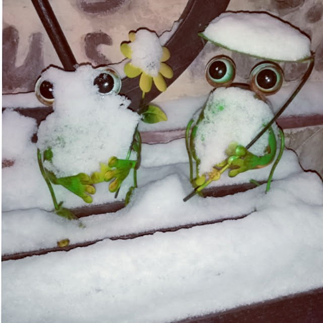 mocomocoさんの実例写真