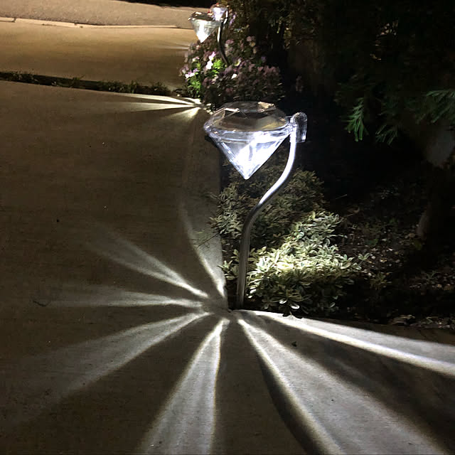 Shihoさんの実例写真