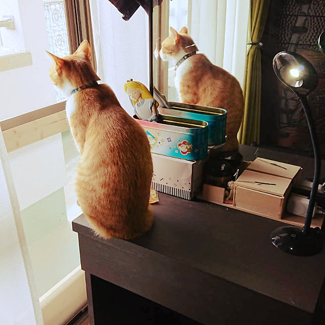 akiさんの実例写真