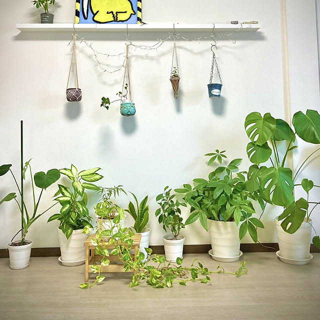 kikinanaさんの実例写真