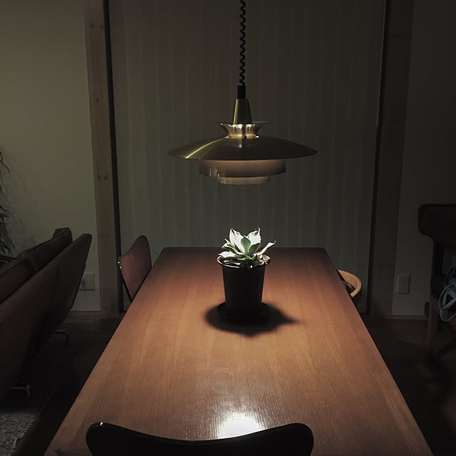 OkLettuceさんの実例写真