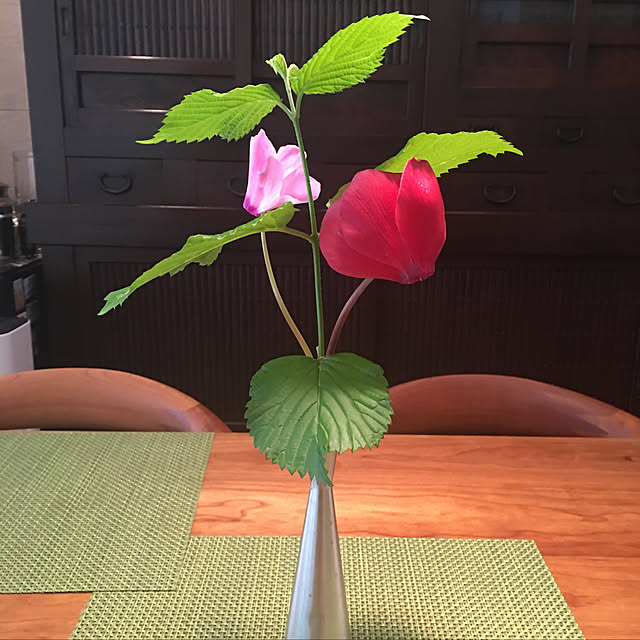 happy-sachiさんの実例写真