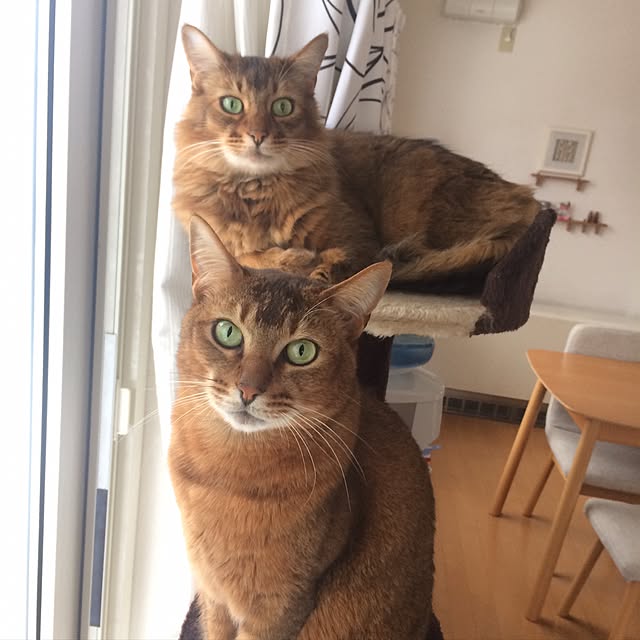Yumiさんの実例写真
