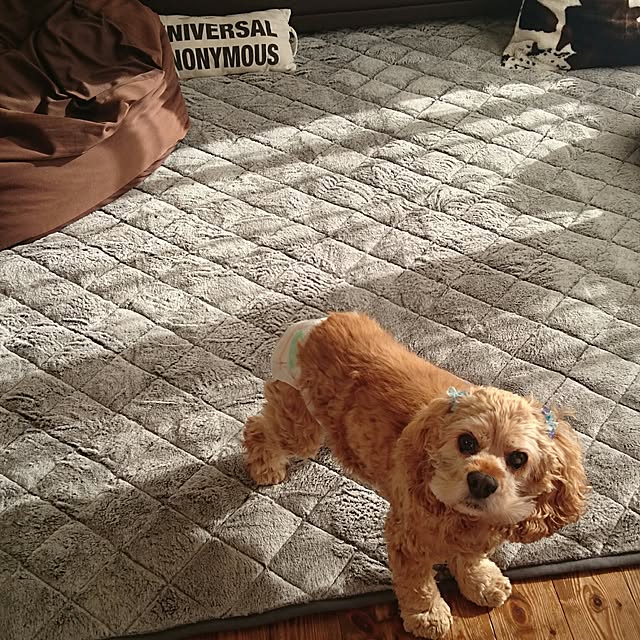 kik375さんの実例写真