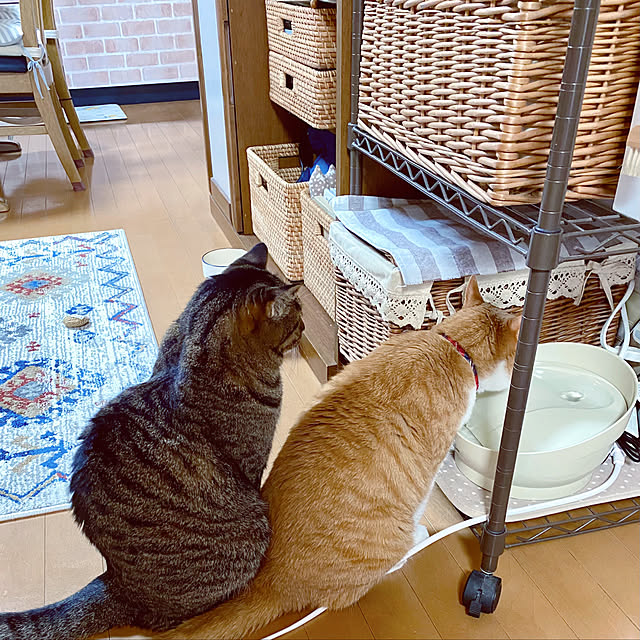 cocomaroさんの実例写真