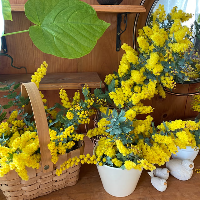 mintteaさんの部屋