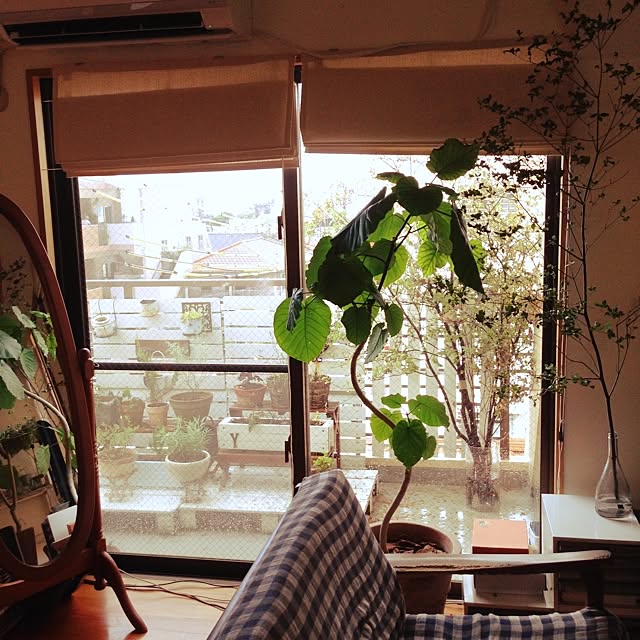 nochi_YTさんの実例写真