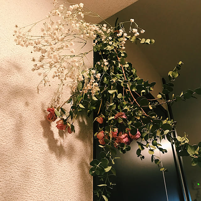 my148さんの実例写真