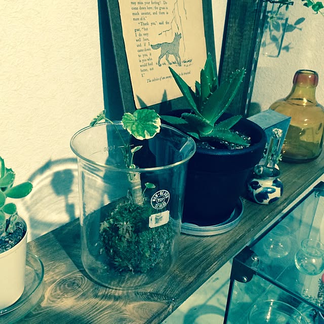 interior_yuさんの実例写真
