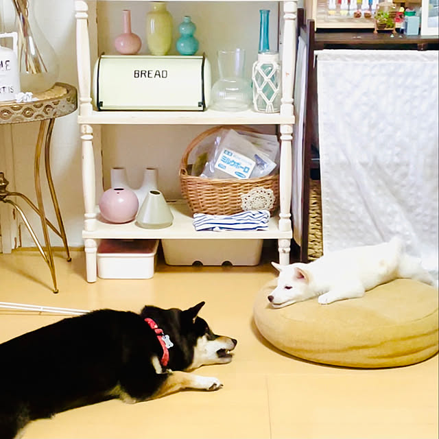 mo-nosukeさんの実例写真