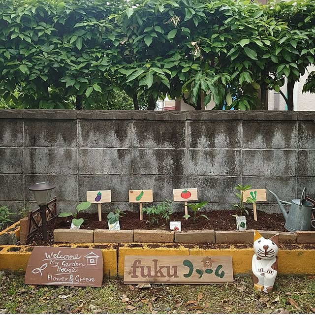 fukuさんの実例写真