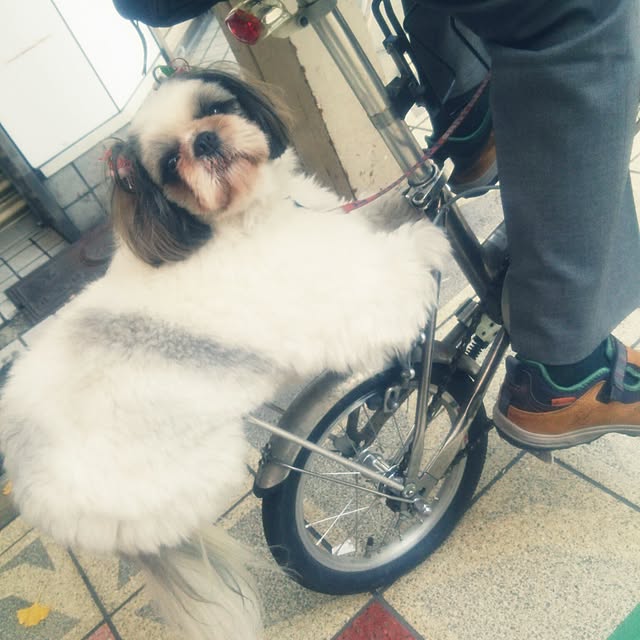 kittenblueさんの実例写真