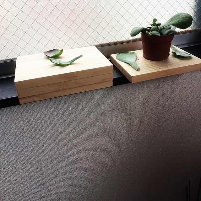 Onettoさんの実例写真