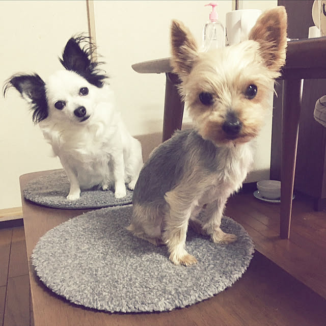 ohanaさんの部屋