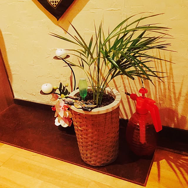 llx4500さんの実例写真