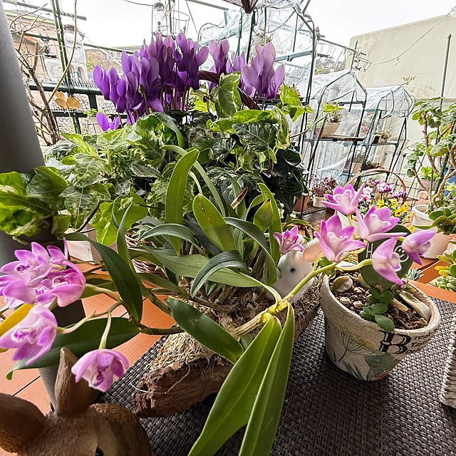 Aqettyさんの部屋