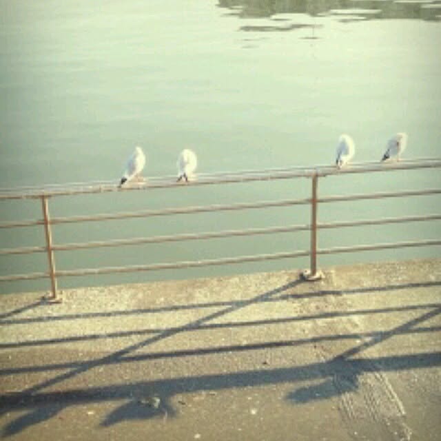 jam..さんの実例写真