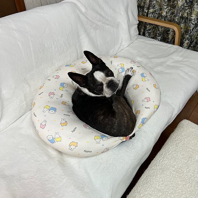 kurumeruさんの部屋