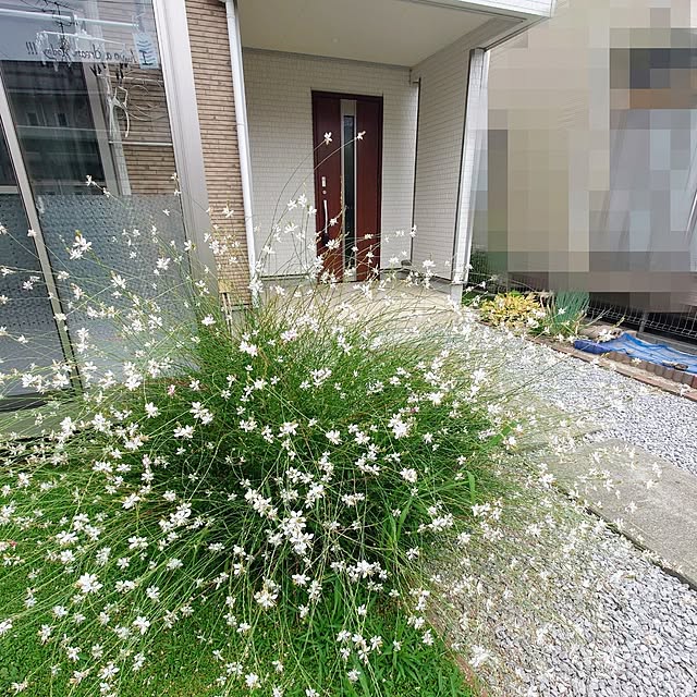 aco_zgさんの実例写真