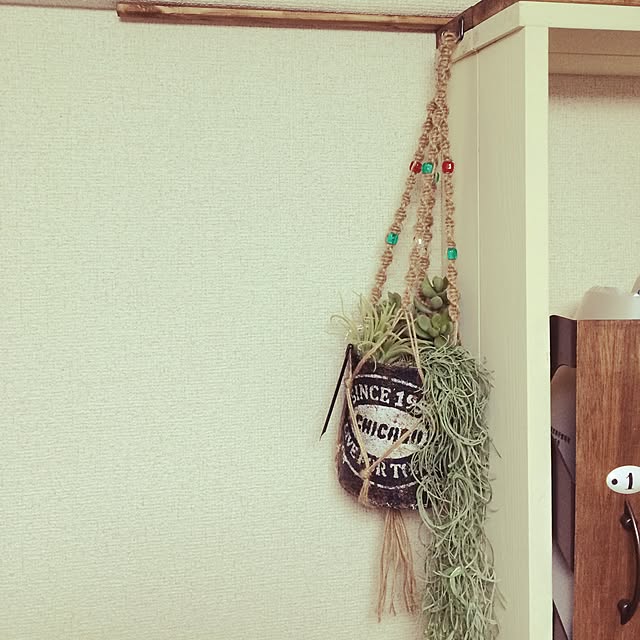 ayusolaさんの実例写真