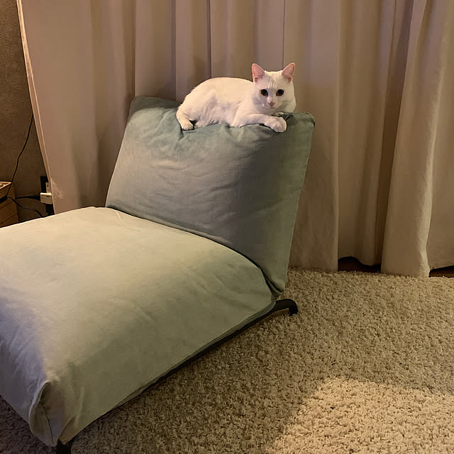 keiさんの実例写真