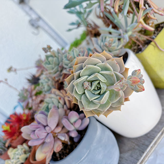 machikoooさんの部屋