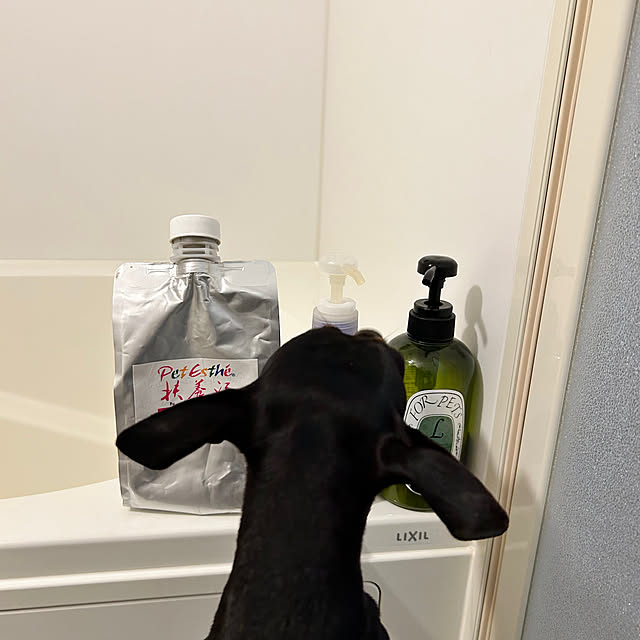 shizuponさんの部屋
