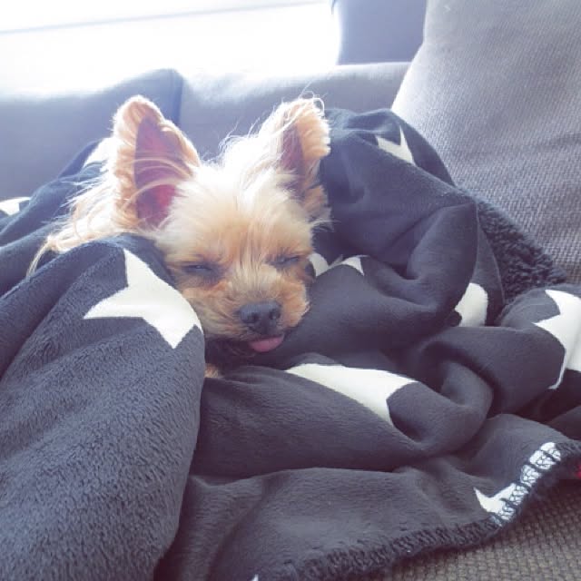 anelaさんの実例写真