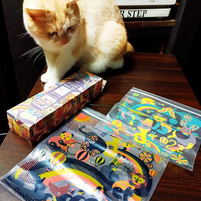 kobakissaさんの部屋