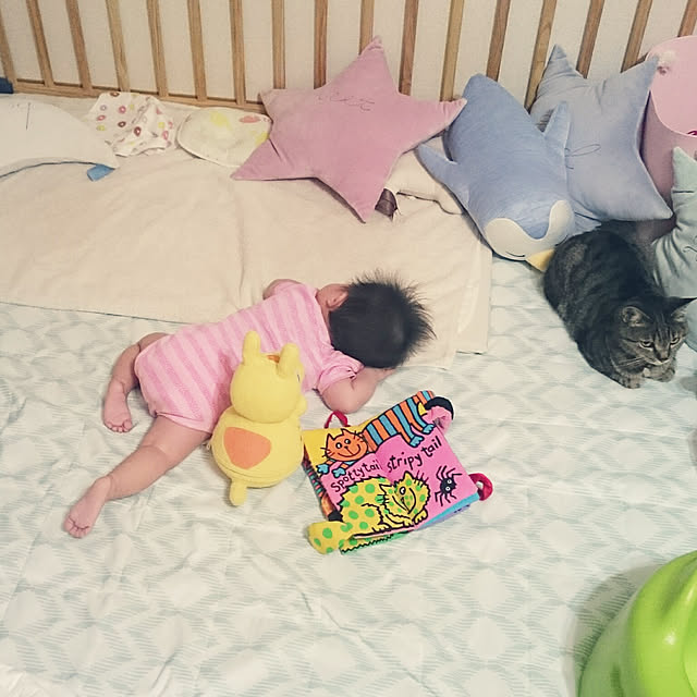nanoさんの実例写真
