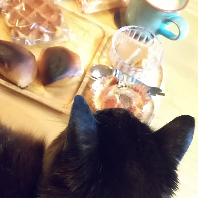 Maki-nekomamireさんの実例写真