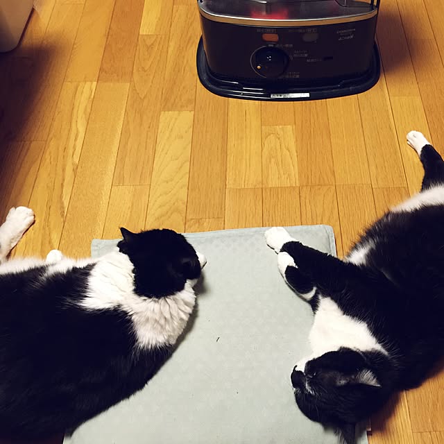 aketaさんの実例写真
