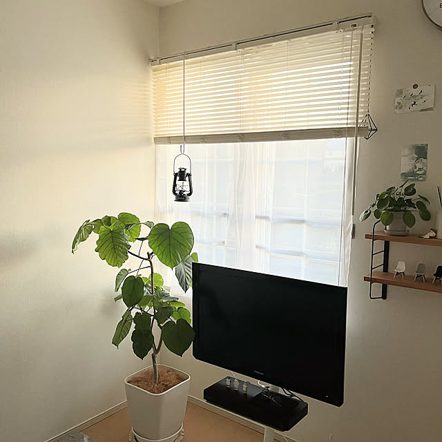 matteaさんの部屋