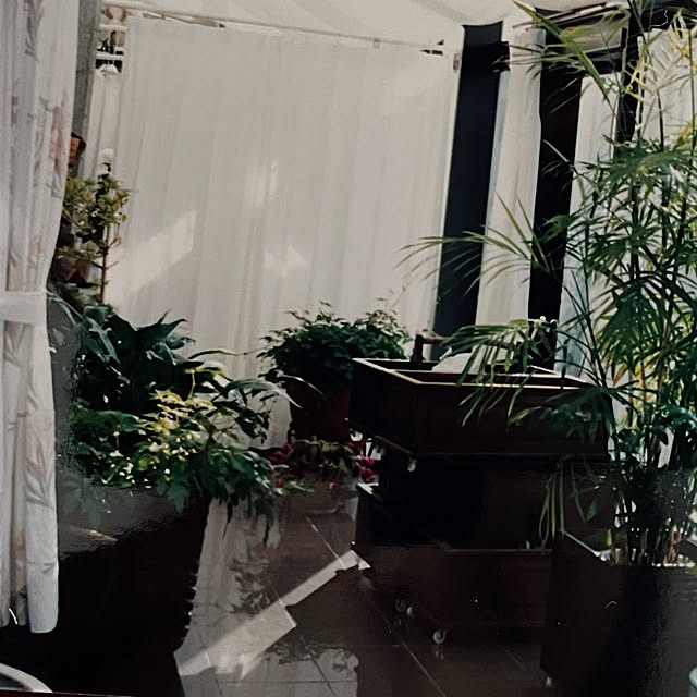 mamizaさんの部屋