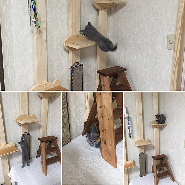 masaさんの実例写真