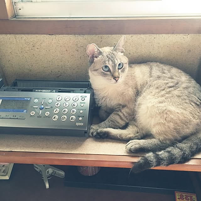 renova_sanさんの実例写真